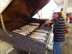 festa do peixe de Arroio do Silva