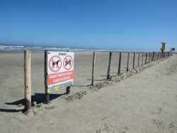 area banho